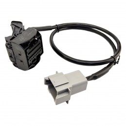 Cable adicional ECU Runner para ECU BOSCH ME17.9.74. Para vehículos BRP y Polaris.